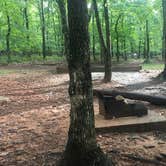 Review photo of Pilot Mountain State Park Campground — Pilot Mountain State Park by Shannon C., July 8, 2018