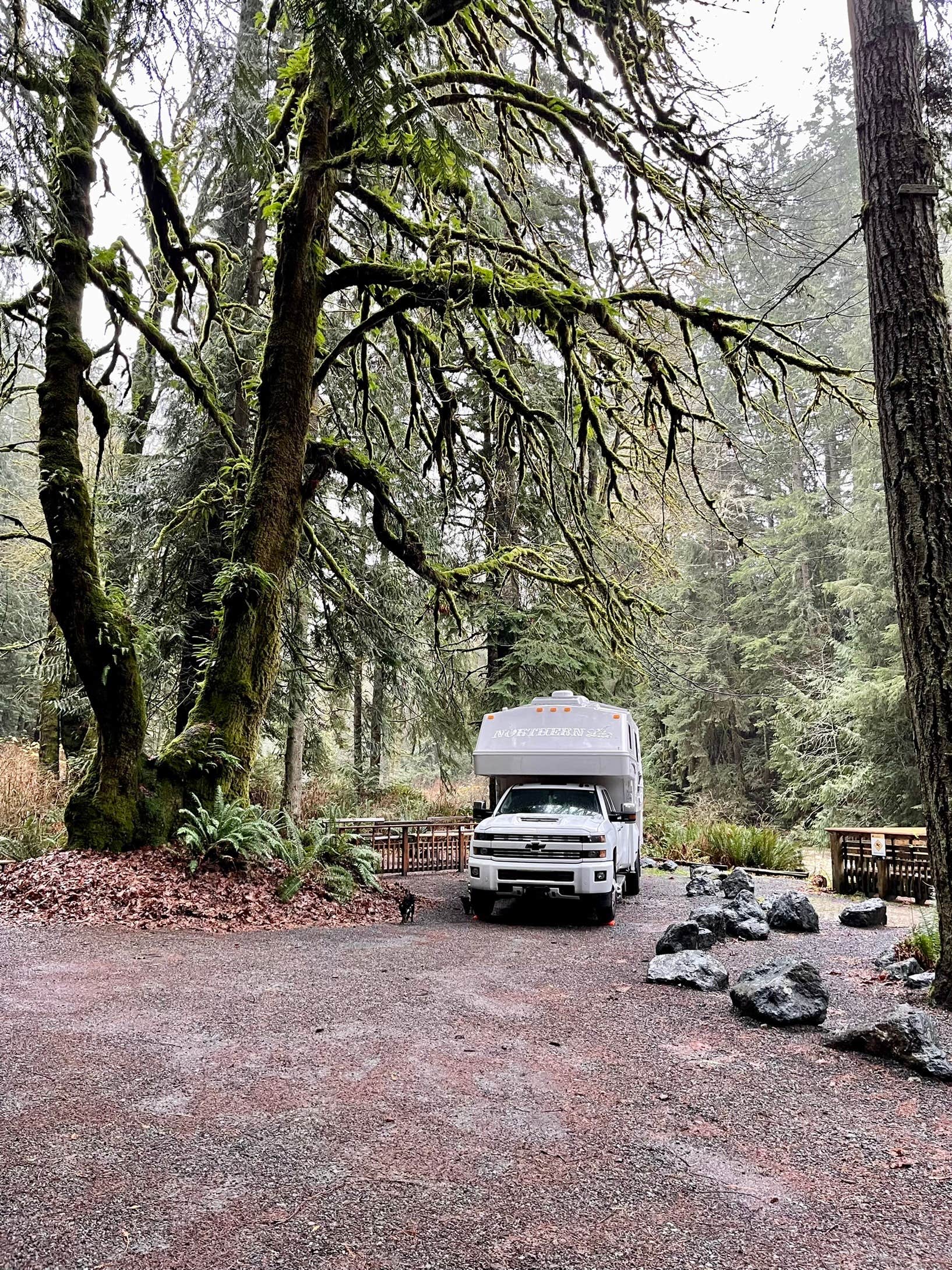 Camper-submitted photo at Lyre River- State Forest near Sekiu, WA