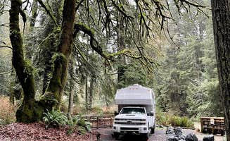 L & J L.'s photo of rv camping at Lyre River- State Forest near Joyce, WA