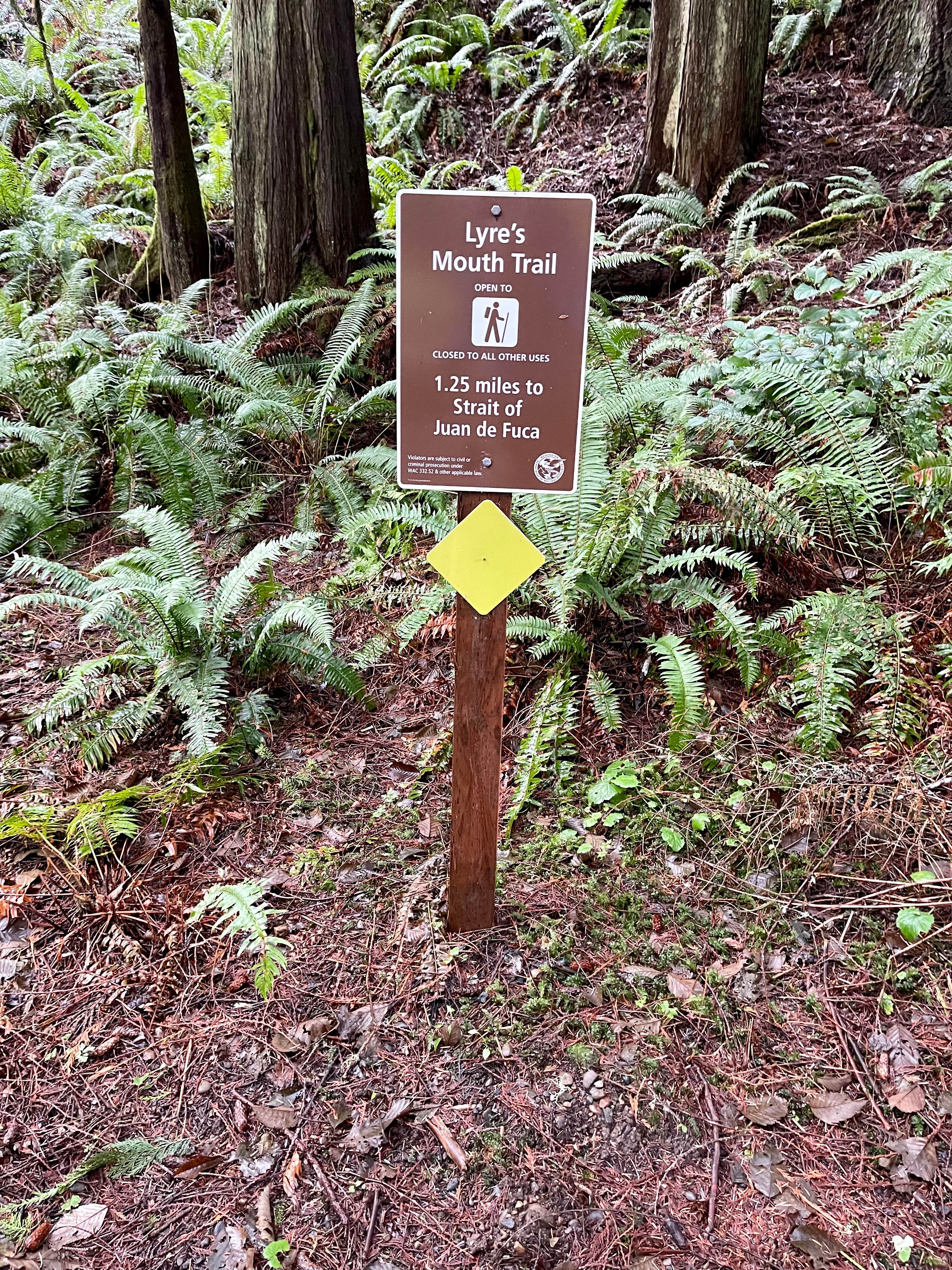 Camper-submitted photo at Lyre River- State Forest near Sekiu, WA