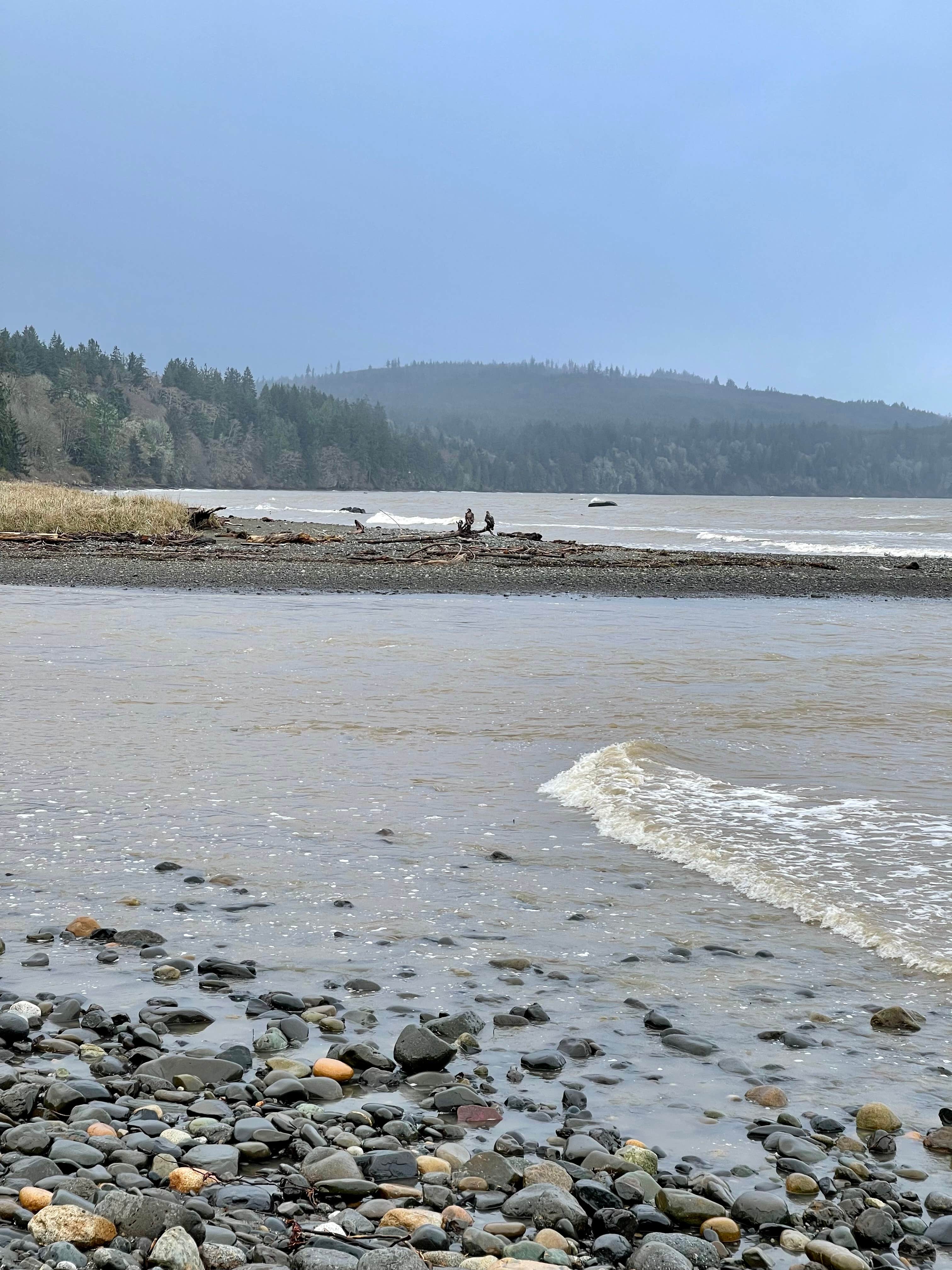 Camper submitted image from Lyre River- State Forest - 4