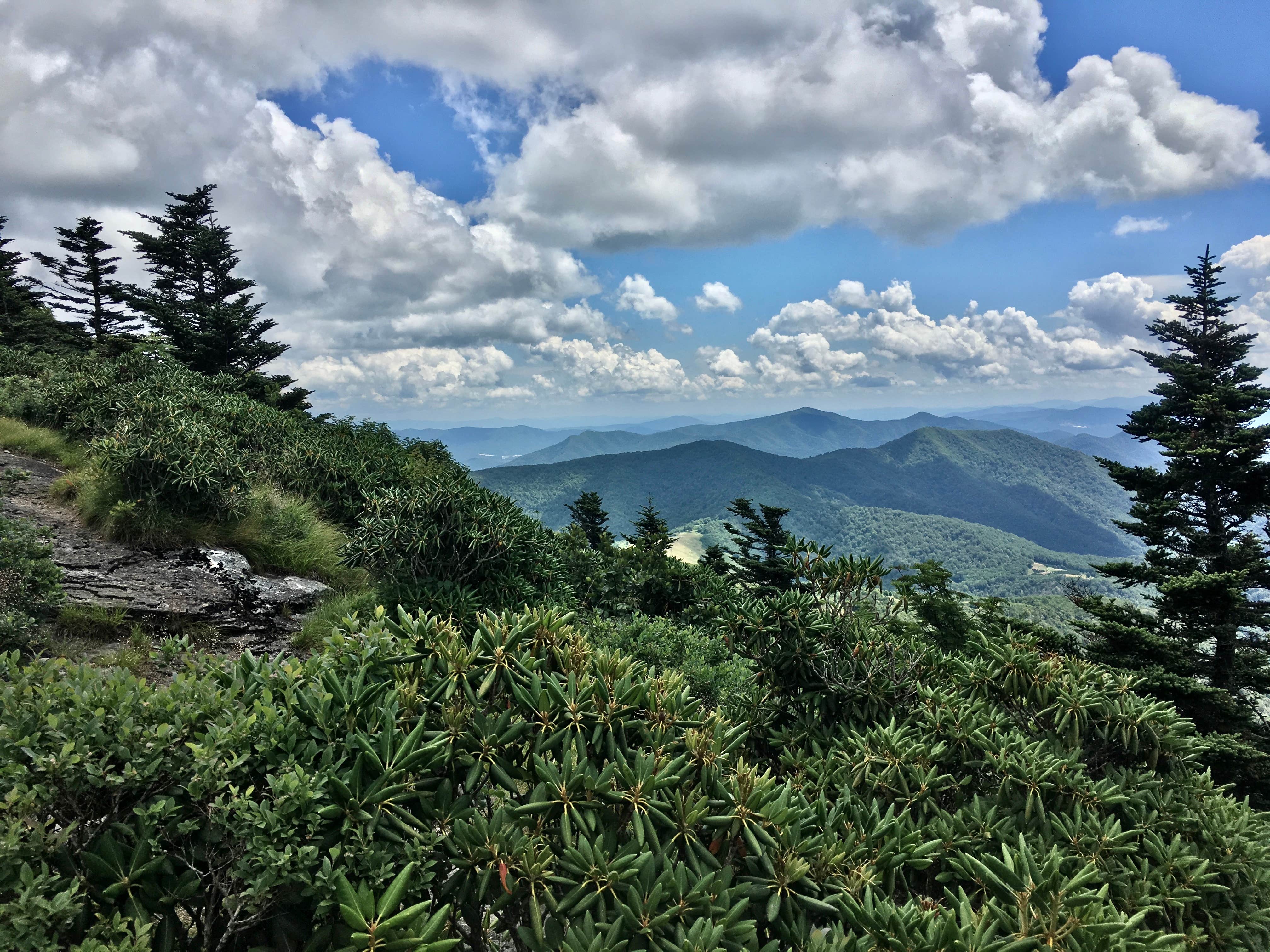 Camper submitted image from Grassy Ridge Bald - Dispersed BackCountry - 2