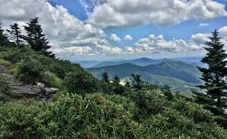 Kelly G.'s photo of a dispersed camping area at Grassy Ridge Bald - Dispersed BackCountry near West Jefferson, NC
