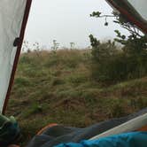 Review photo of Grassy Ridge Bald - Dispersed BackCountry by Kelly G., December 12, 2021