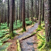 Review photo of Grassy Ridge Bald - Dispersed BackCountry by Kelly G., December 12, 2021