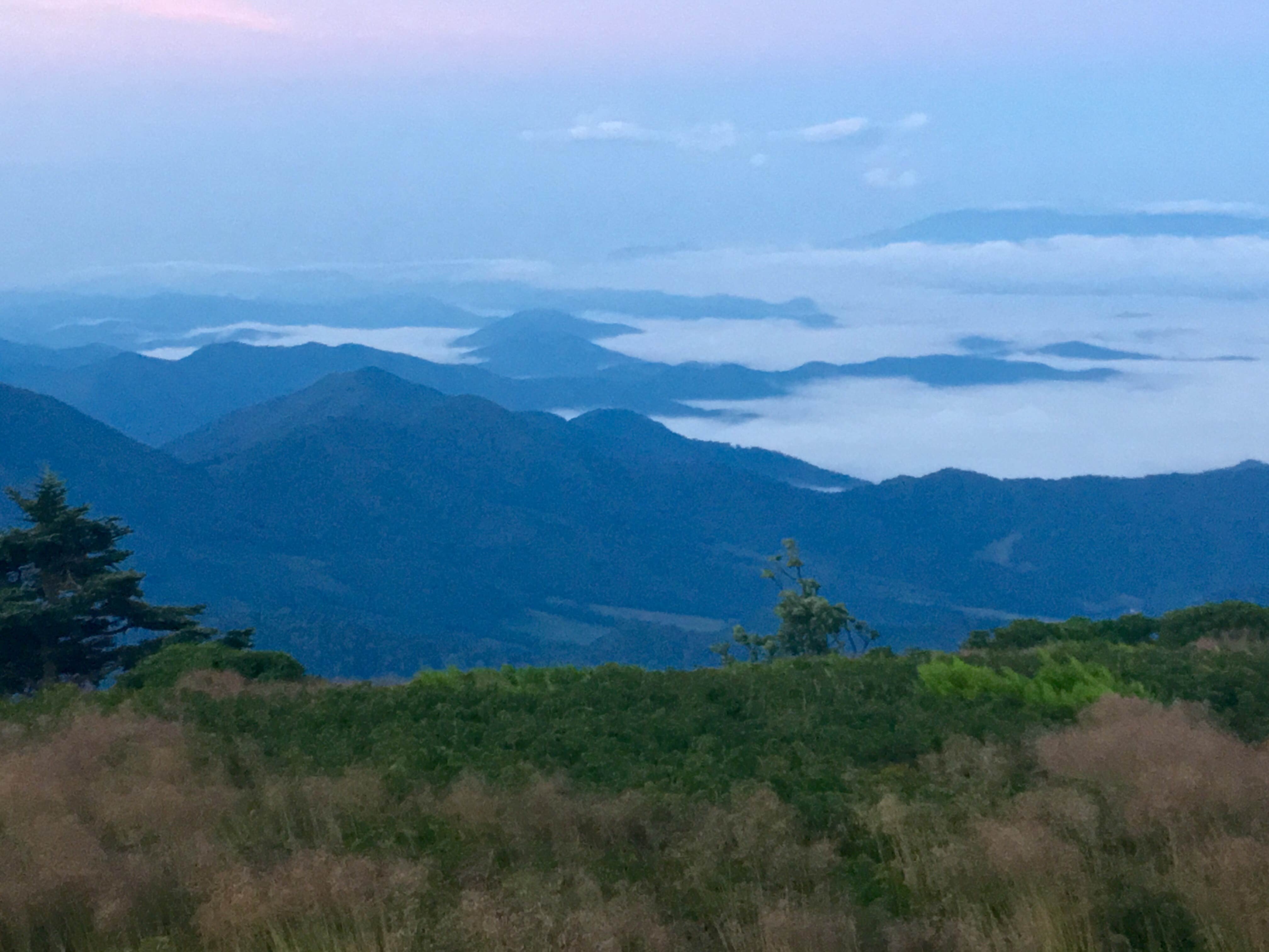 Grassy Ridge Bald - Dispersed BackCountry