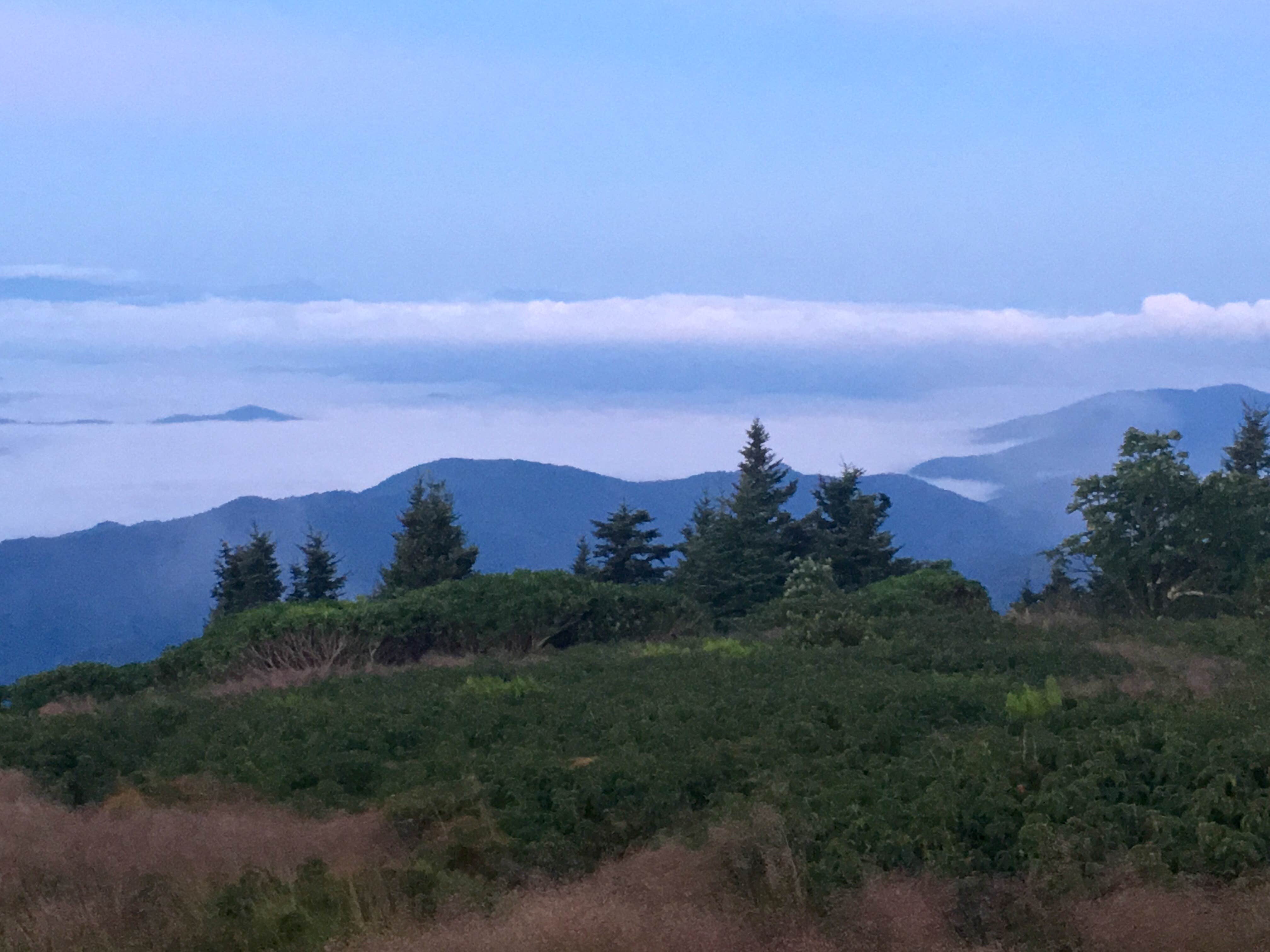 Camper-submitted photo at Grassy Ridge Bald - Dispersed BackCountry near Roan Mountain, TN
