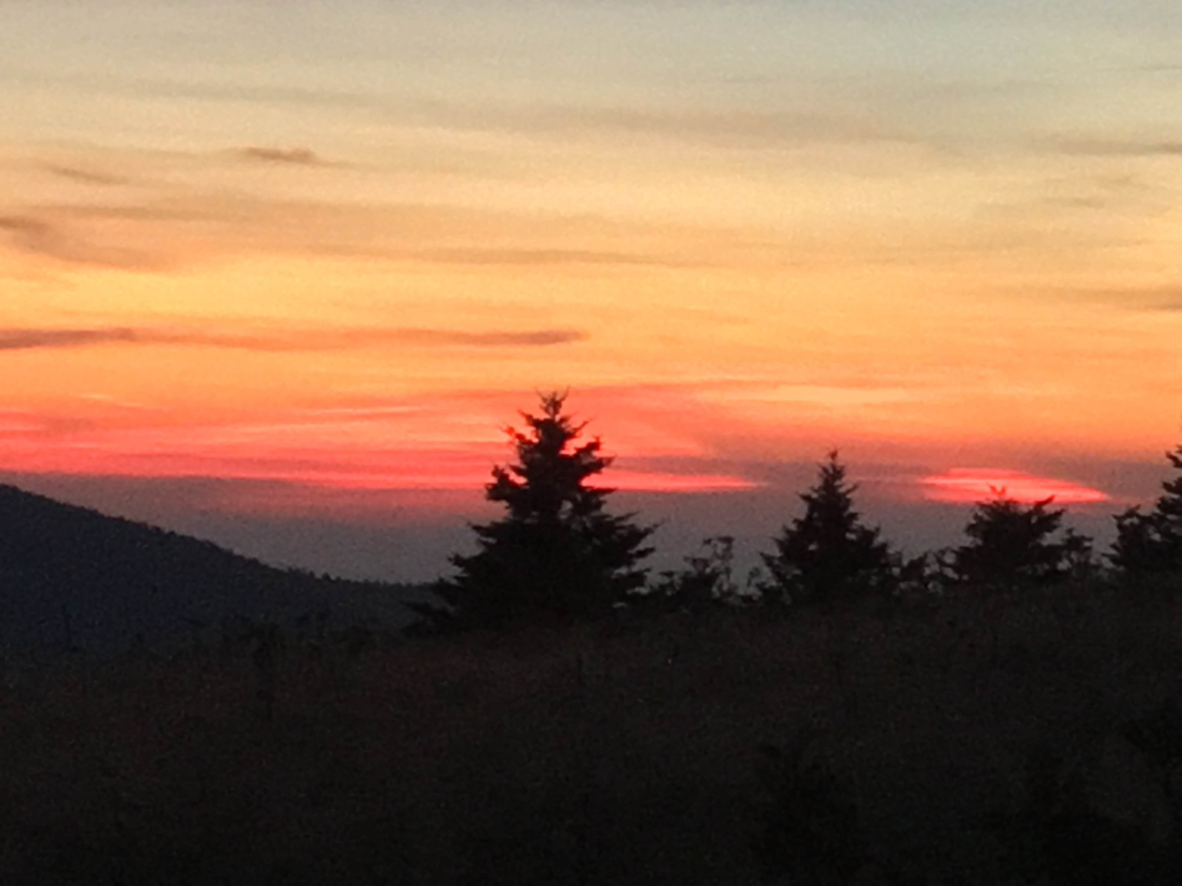 Camper-submitted photo at Grassy Ridge Bald - Dispersed BackCountry near Linville Falls, NC