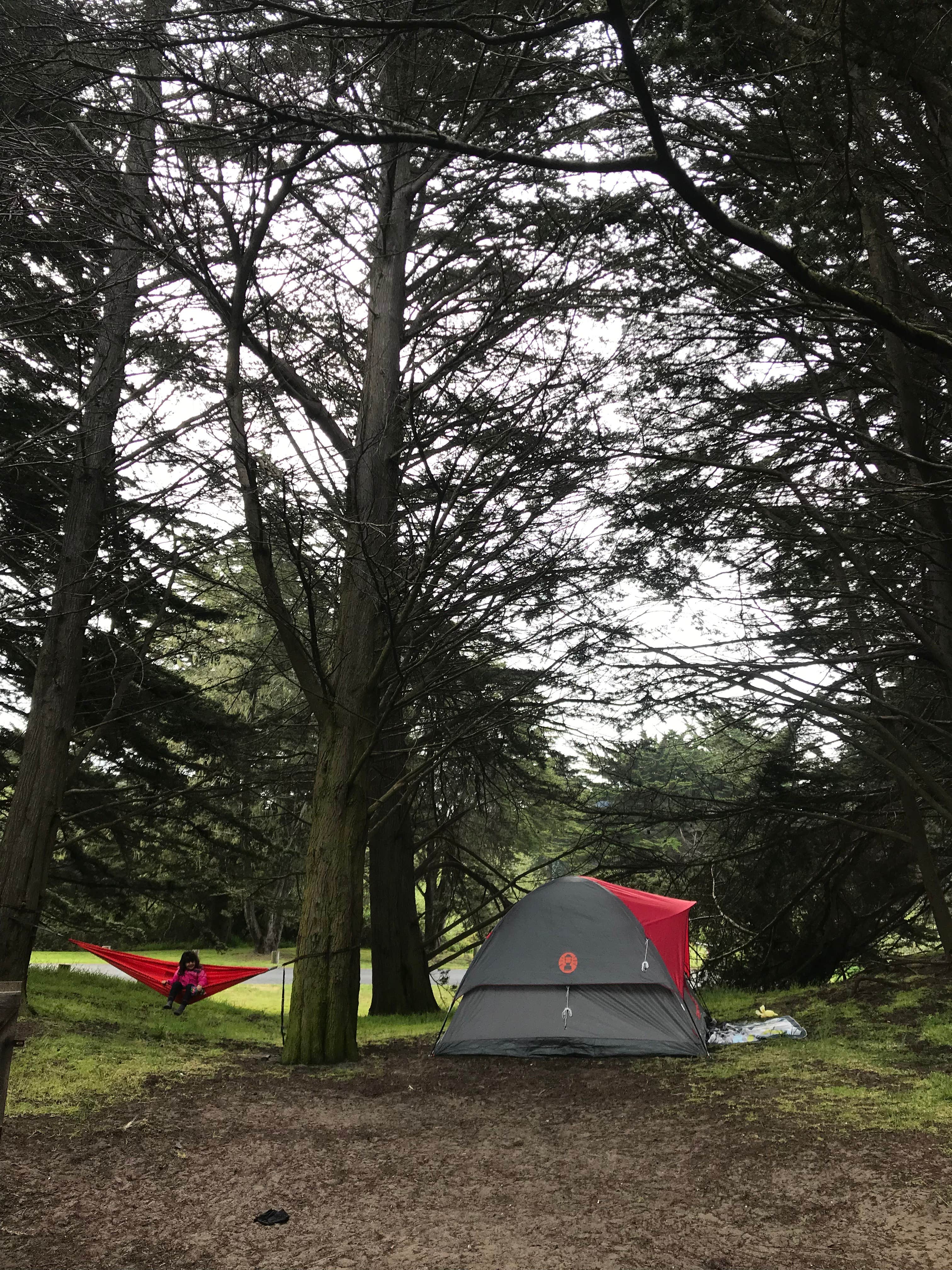 Adventure M.'s photo at Bodega Dunes Campground — Sonoma Coast State Park near Occidental, CA