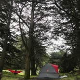 Review photo of Bodega Dunes Campground — Sonoma Coast State Park by Adventure M., July 8, 2018