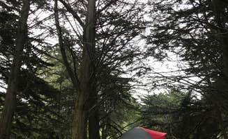 Adventure M.'s photo at Bodega Dunes Campground — Sonoma Coast State Park near Bridgehaven, CA