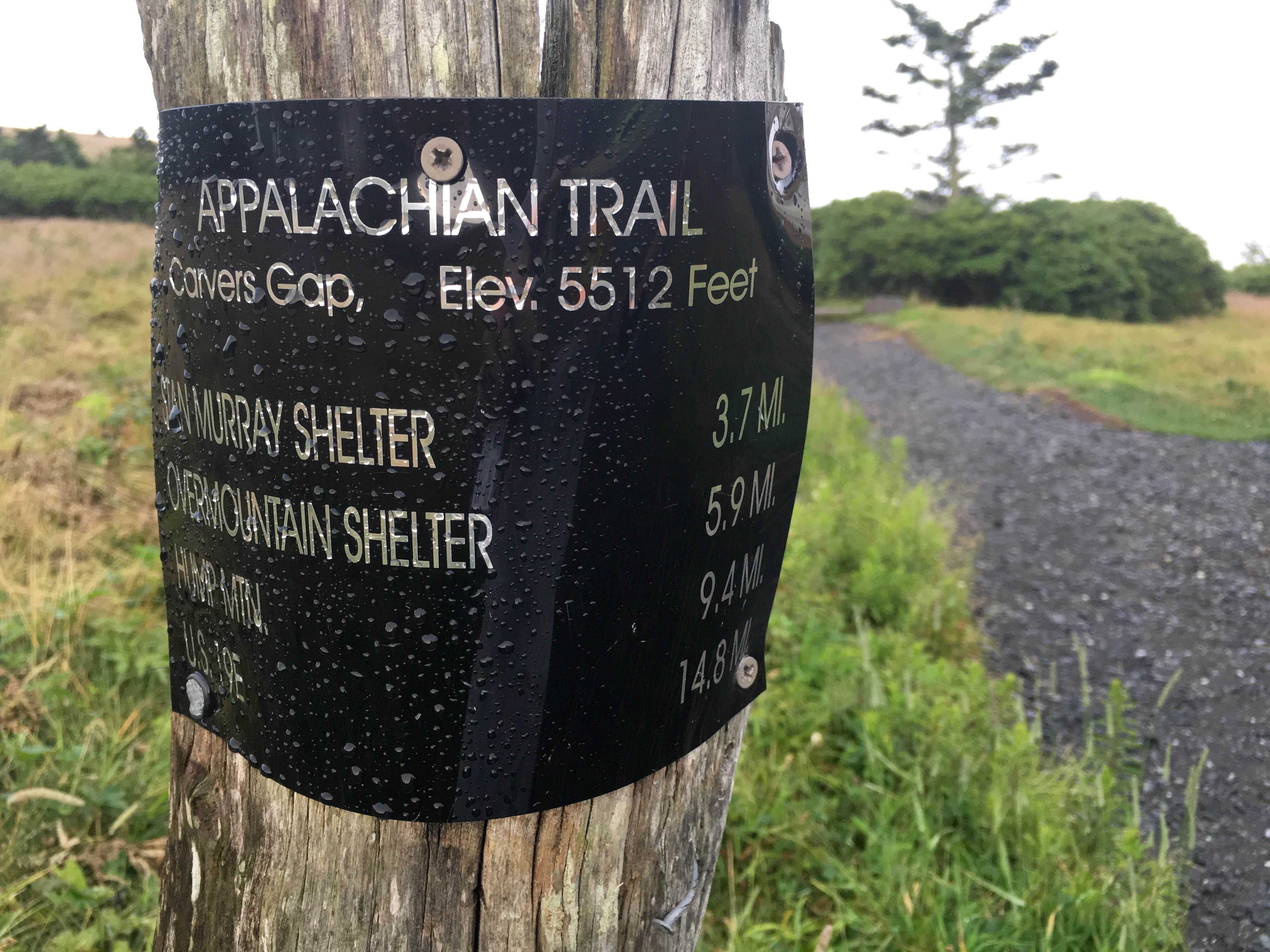 Camper-submitted photo at Grassy Ridge Bald - Dispersed BackCountry near Linville Falls, NC