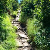 Review photo of Grassy Ridge Bald - Dispersed BackCountry by Kelly G., December 12, 2021