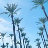 Review photo of Thousand Trails Palm Springs by Kelsey B., December 12, 2021