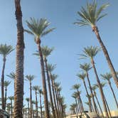 Review photo of Thousand Trails Palm Springs by Kelsey B., December 12, 2021