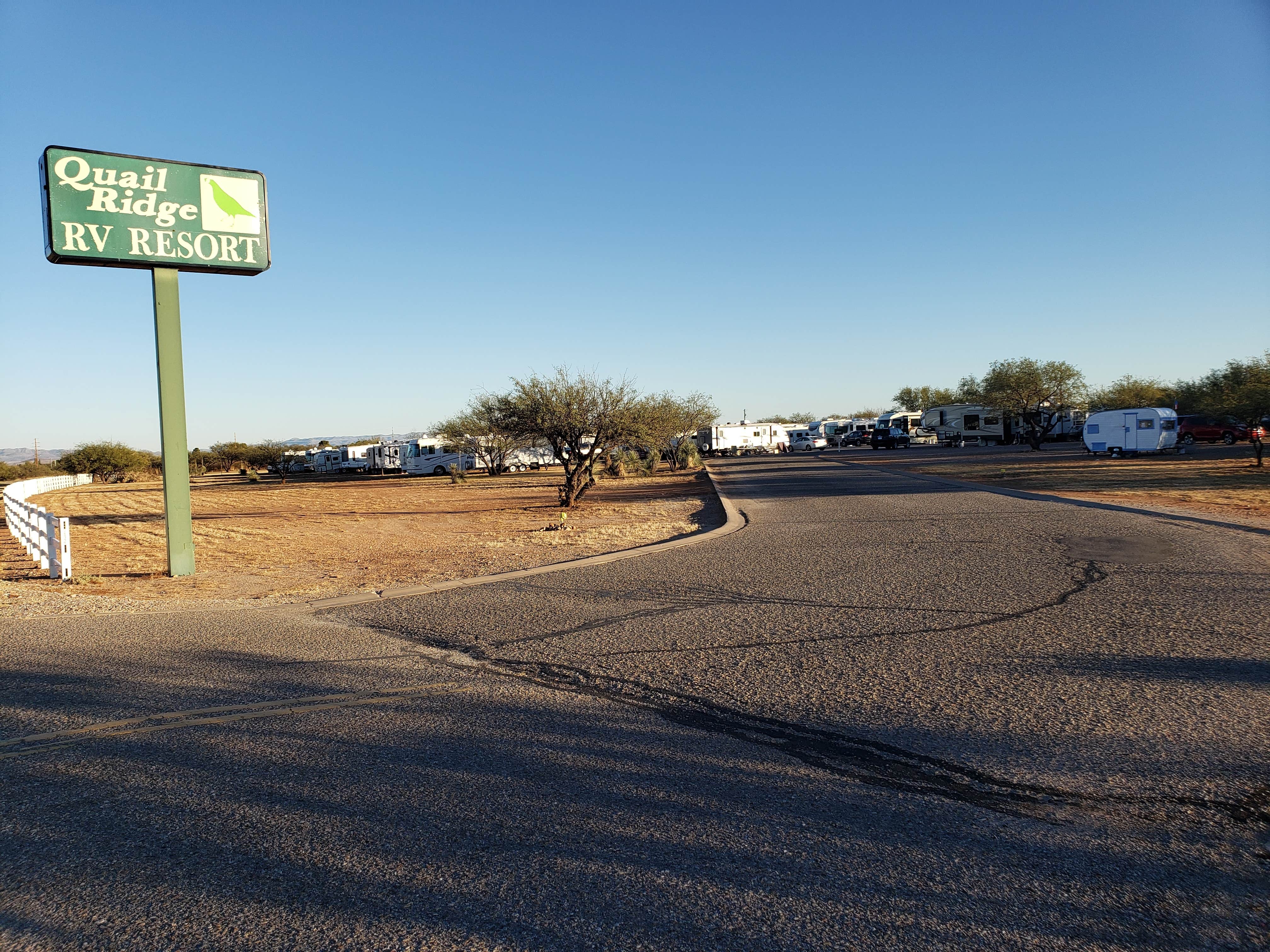 Camper submitted image from Quail Ridge RV Resort - 4