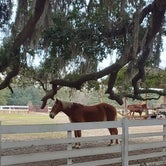 Review photo of Red Gate Farms - RV Resort by deb K., December 13, 2021