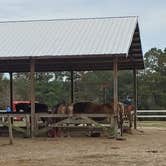 Review photo of Red Gate Farms - RV Resort by deb K., December 13, 2021