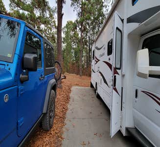Camper-submitted photo from Chalk Banks — Lumber River State Park