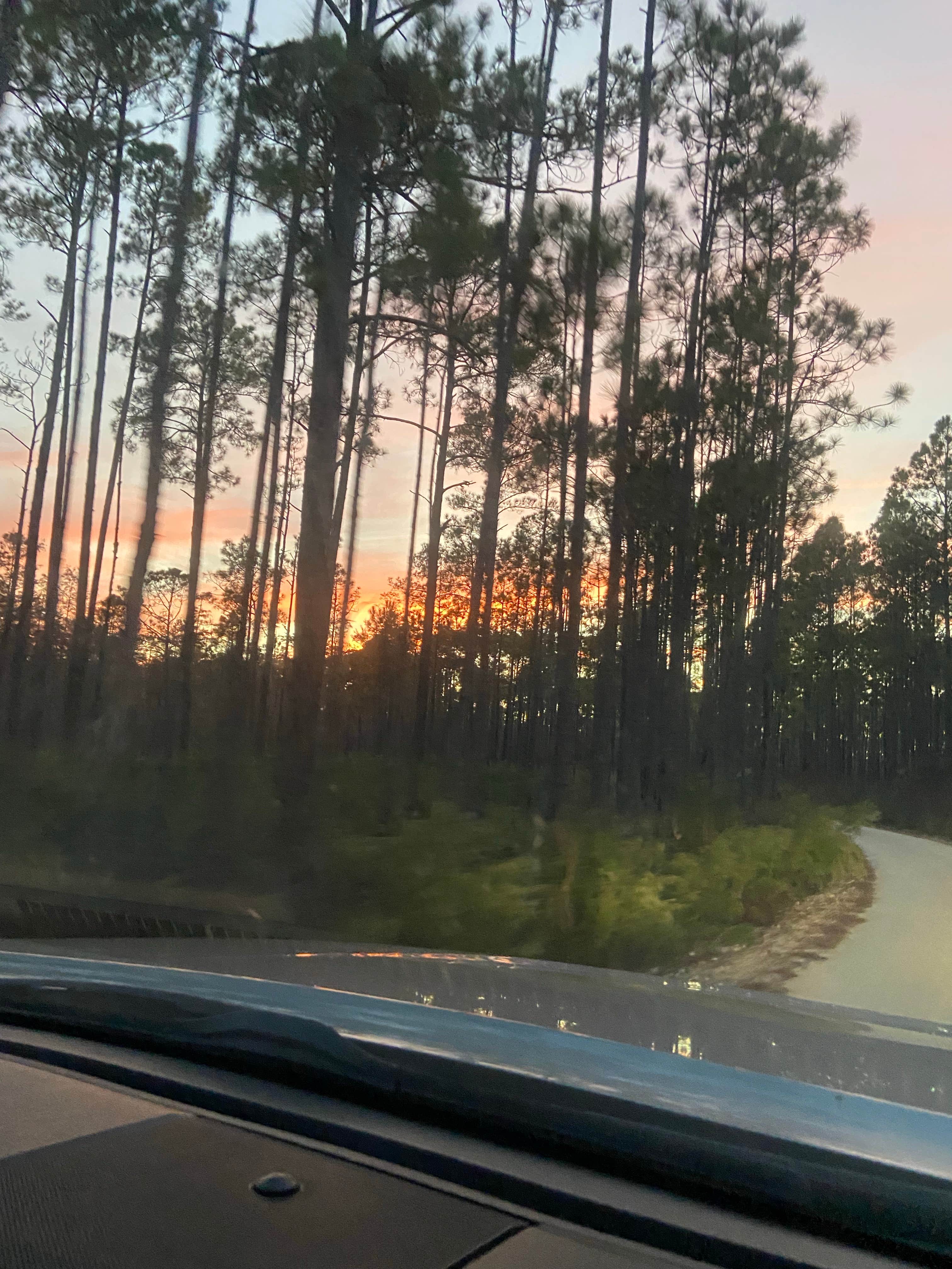Camper-submitted photo at Jennings State Forest Hammock Campground near Middleburg, FL
