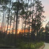 Review photo of Jennings State Forest Hammock Campground by kaitlyn L., December 12, 2021