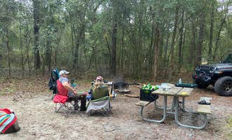 Camping near Camp Chowenwaw Park - Treehouse Point: Jennings State Forest Hammock Campground , Middleburg, Florida