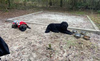 kaitlyn L.'s photo of camping with pets at Jennings State Forest Hammock Campground near Osceola National Forest