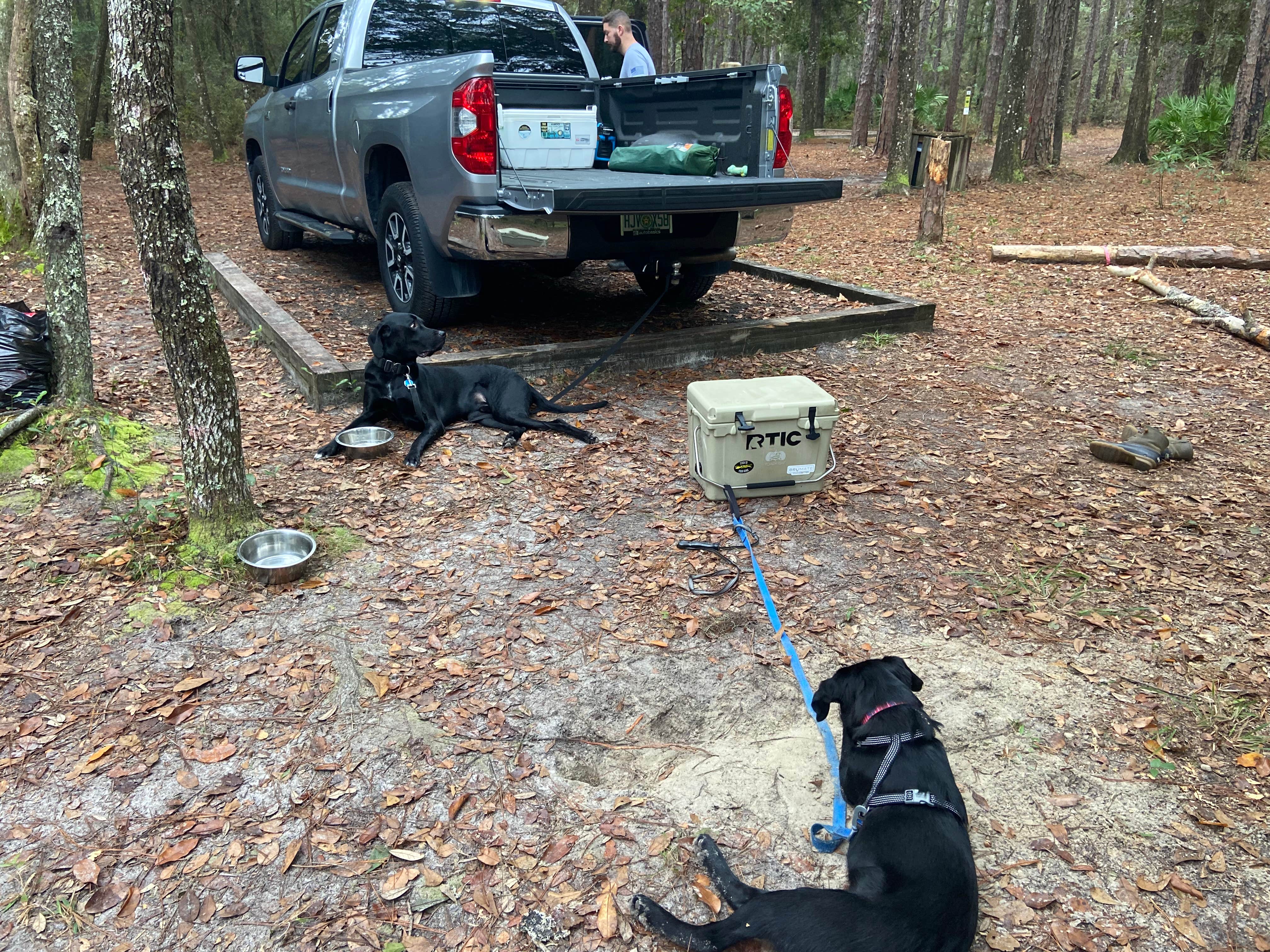 Camper-submitted photo at Jennings State Forest Hammock Campground near Middleburg, FL