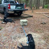 Review photo of Jennings State Forest Hammock Campground by kaitlyn L., December 12, 2021