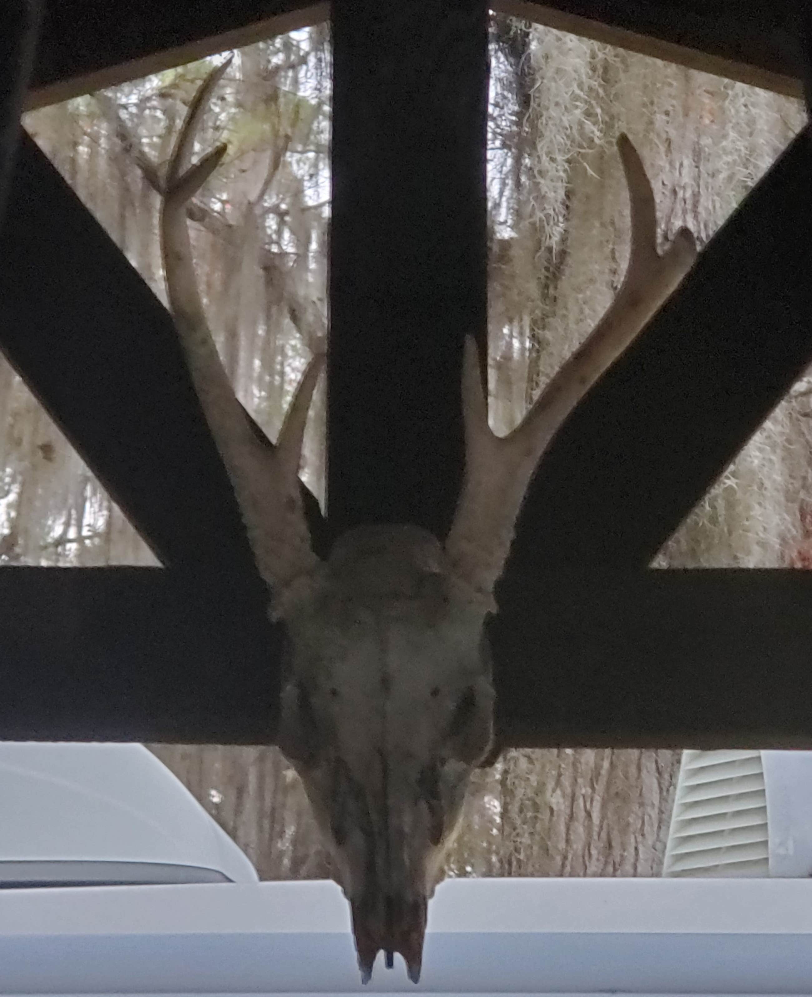 Camper-submitted photo at Hamilton County Park Gibson Campground near Jasper, FL