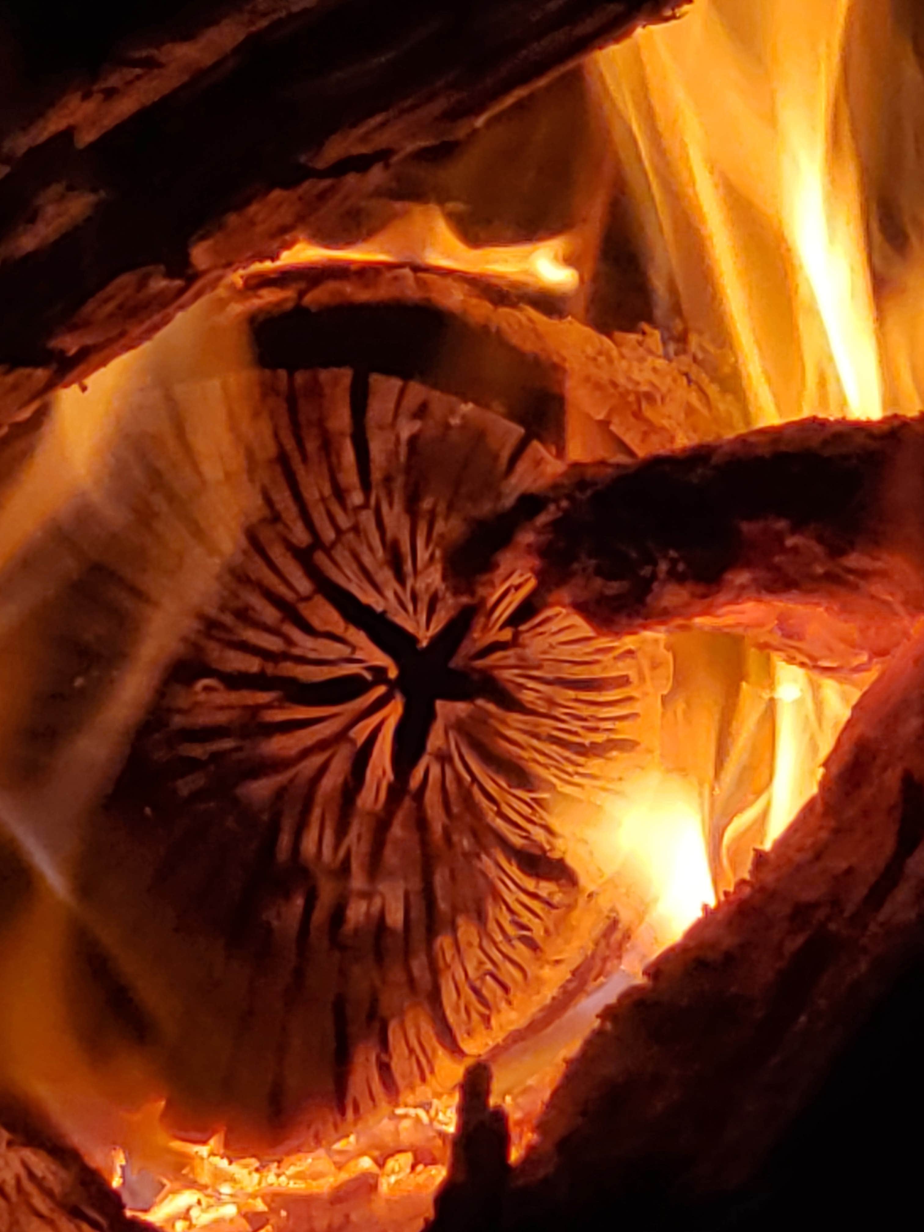 Camper-submitted photo at Hamilton County Park Gibson Campground near Jasper, FL