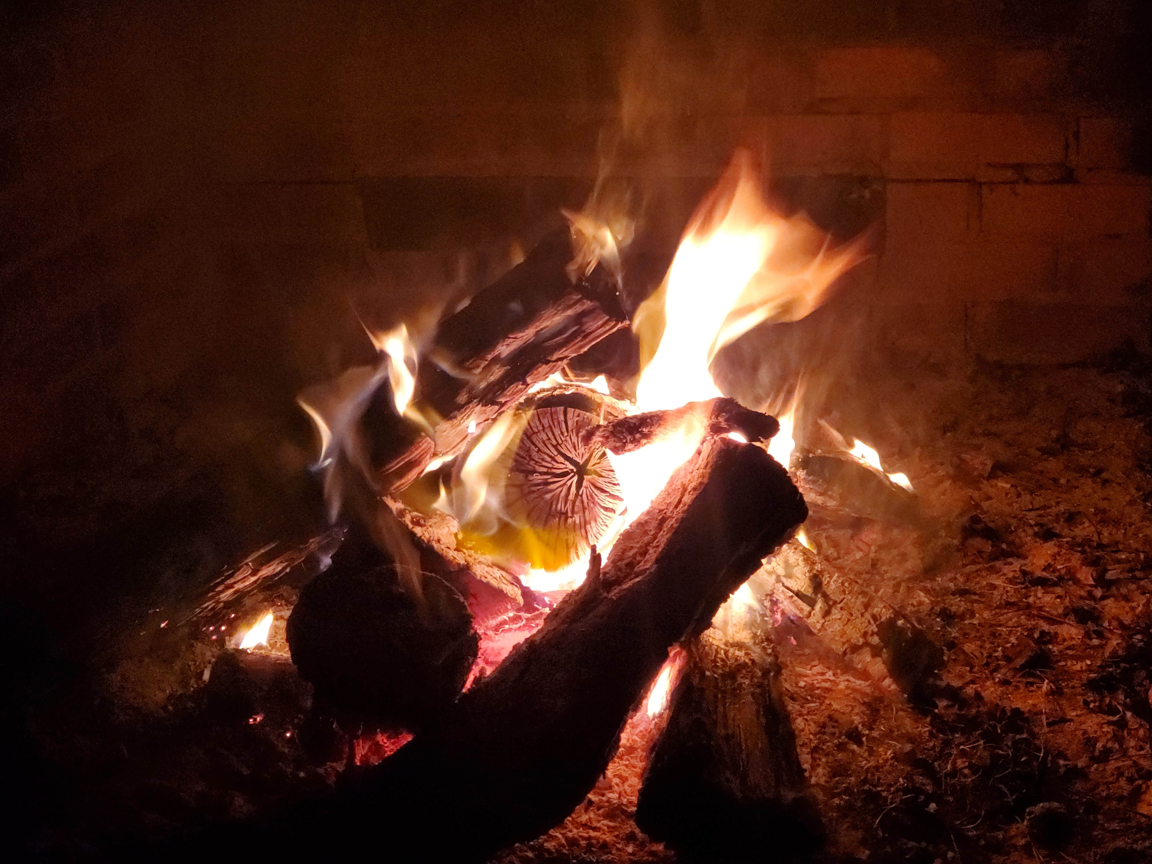 Camping near Holton Creek River Camp — Suwannee River Wilderness Trail: Hamilton County Park Gibson Campground, Jasper, Florida