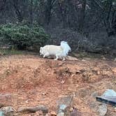 Review photo of Thousand Trails Lake of the Springs by Pamela H., December 14, 2021