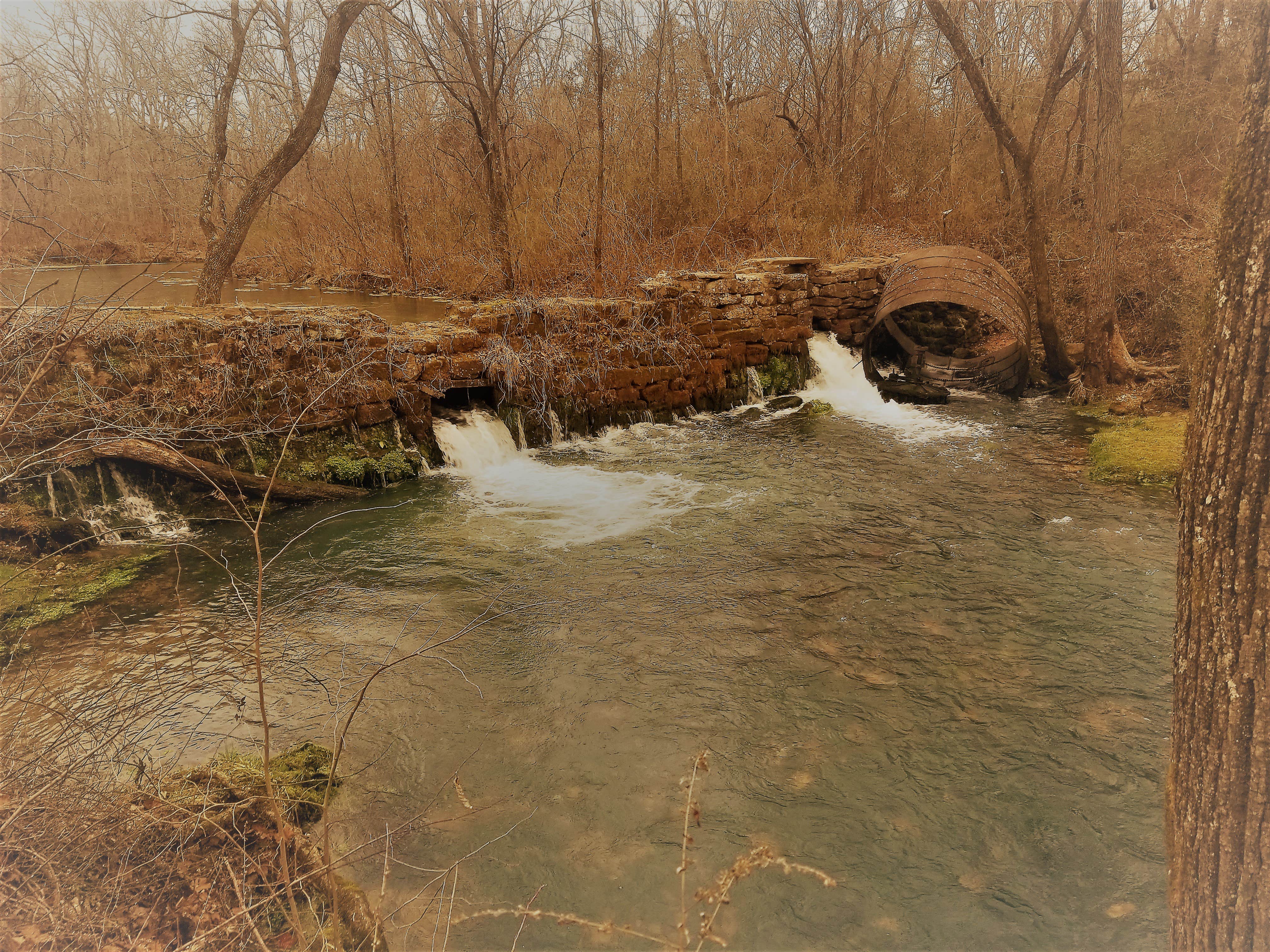 Camper submitted image from Williams Camp: Eleven Point River - 2