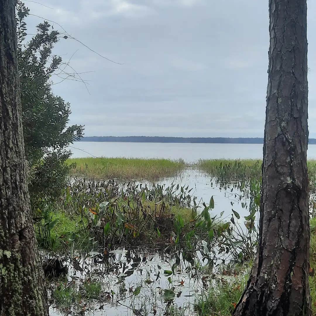 Hog Pen Landing Camping | Lake City, FL