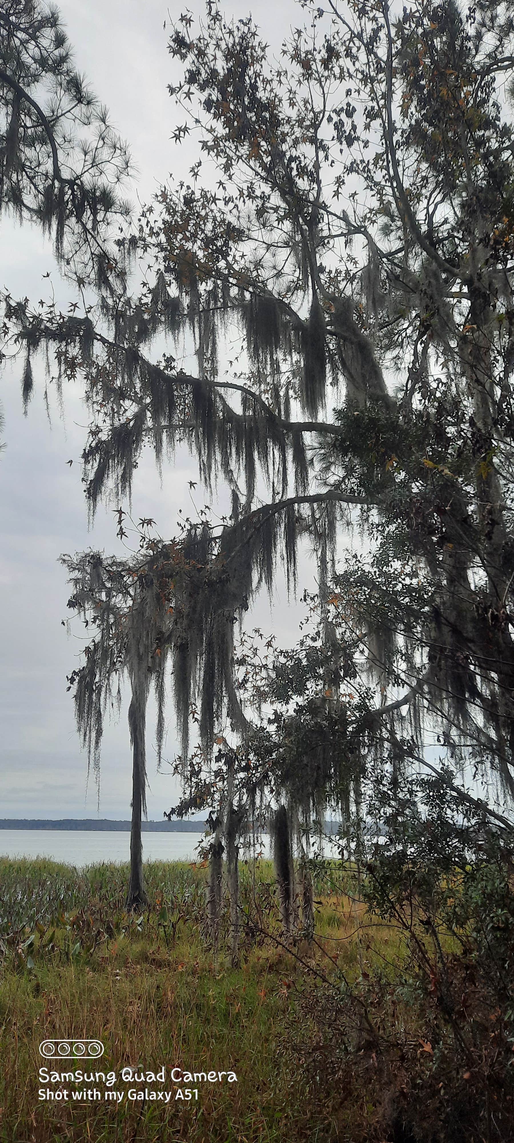 Camping near Lake City Campground: Hog Pen Landing, Olustee, Florida