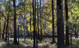Camping near Blue Lake: Fish Lake Campground, Rolling Fork, Mississippi