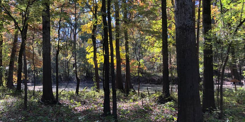 Camper submitted image from Fish Lake Campground