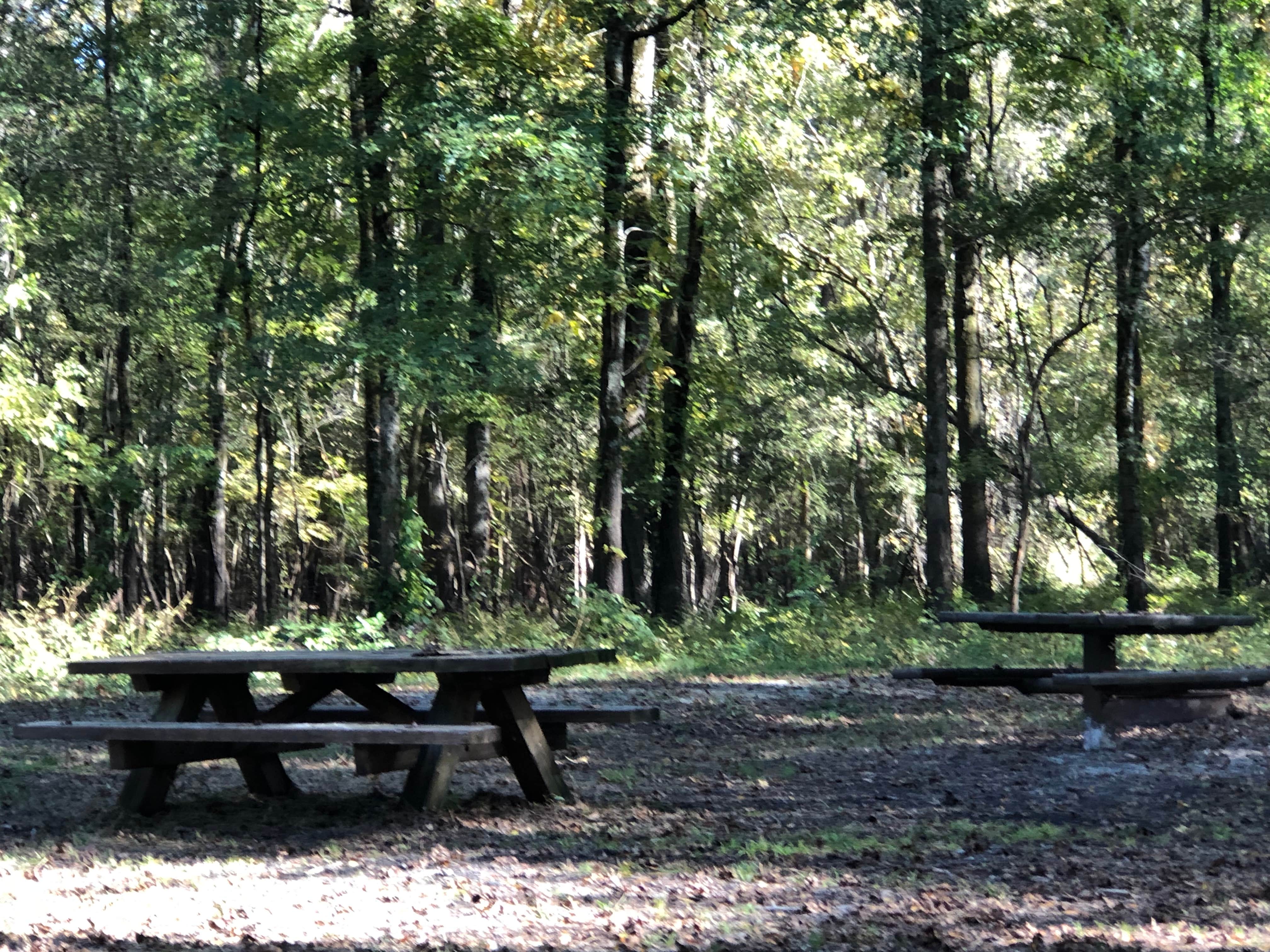 Camper-submitted photo at Fish Lake Campground near Brooklyn, MS