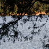 Review photo of Daisy State Park Campground by Melanie Z., July 8, 2018