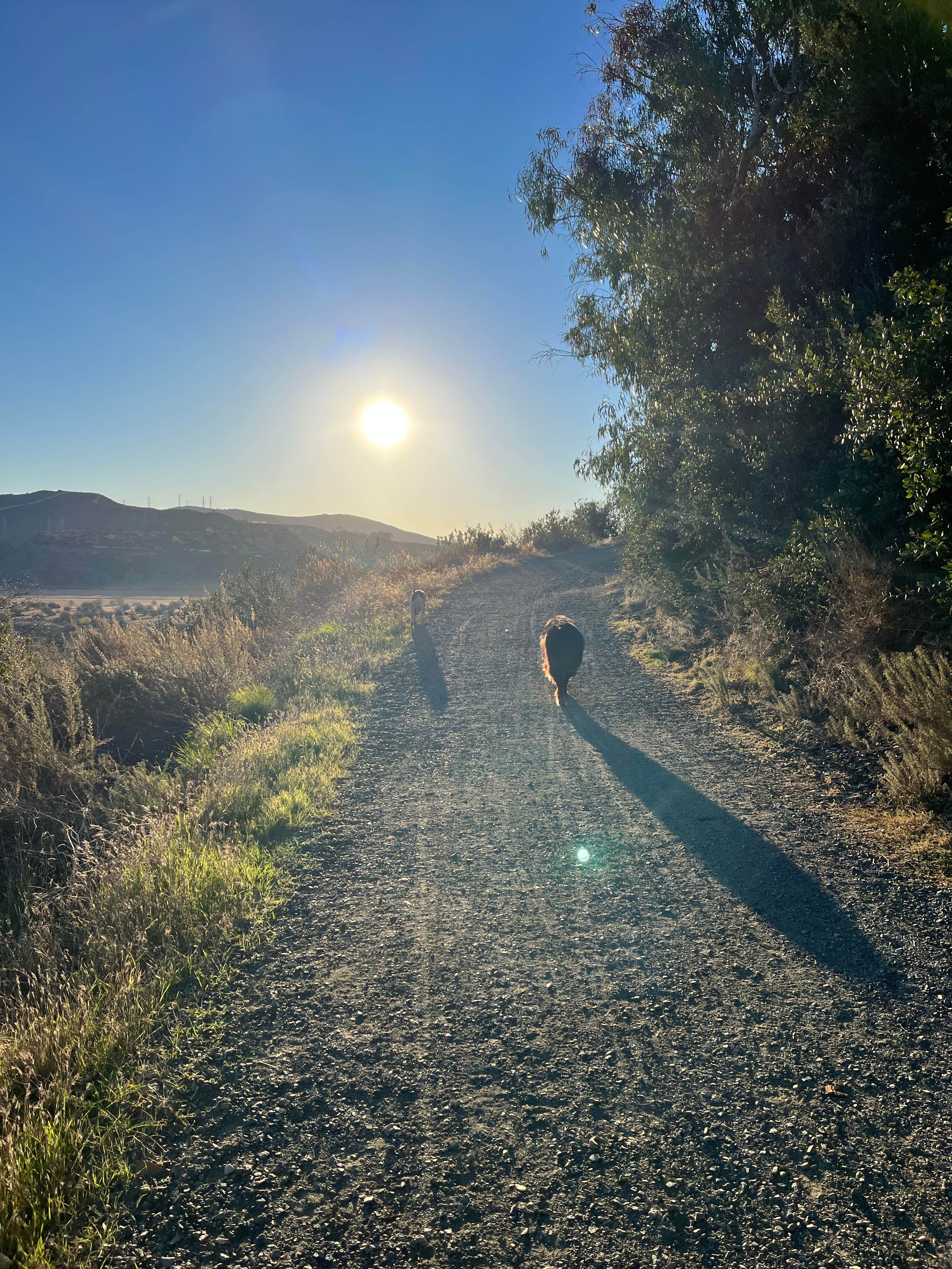 Camper submitted image from San Mateo Wilderness South Area - 2