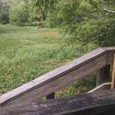 Review photo of Reed Bingham State Park Campground by Dottie B., July 8, 2018