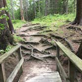 Review photo of Wolfe's Neck Oceanfront Campground by Becky T., December 15, 2021