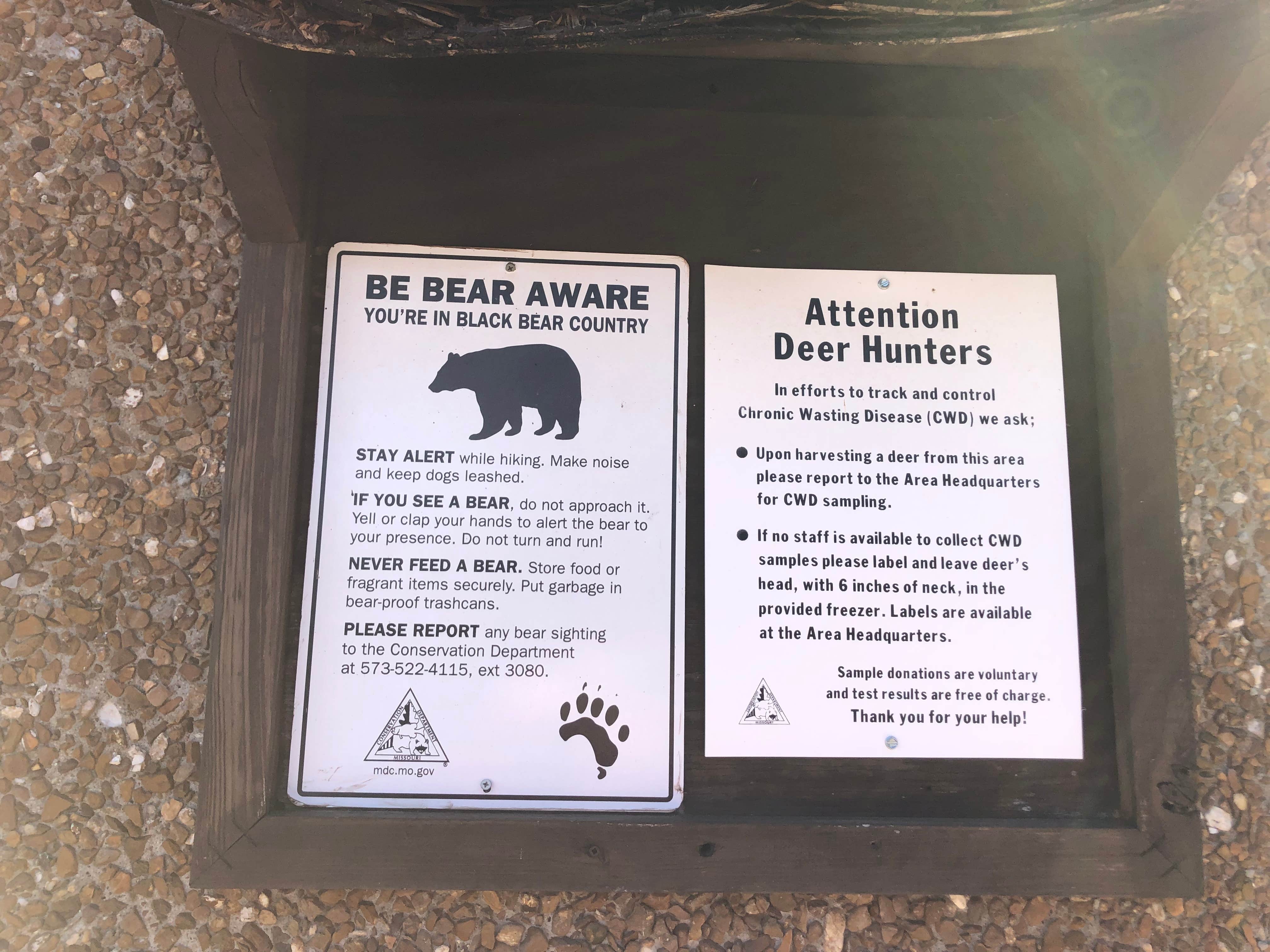 Camper-submitted photo at Drury-Mincy Conservation Area near Greeson Lake