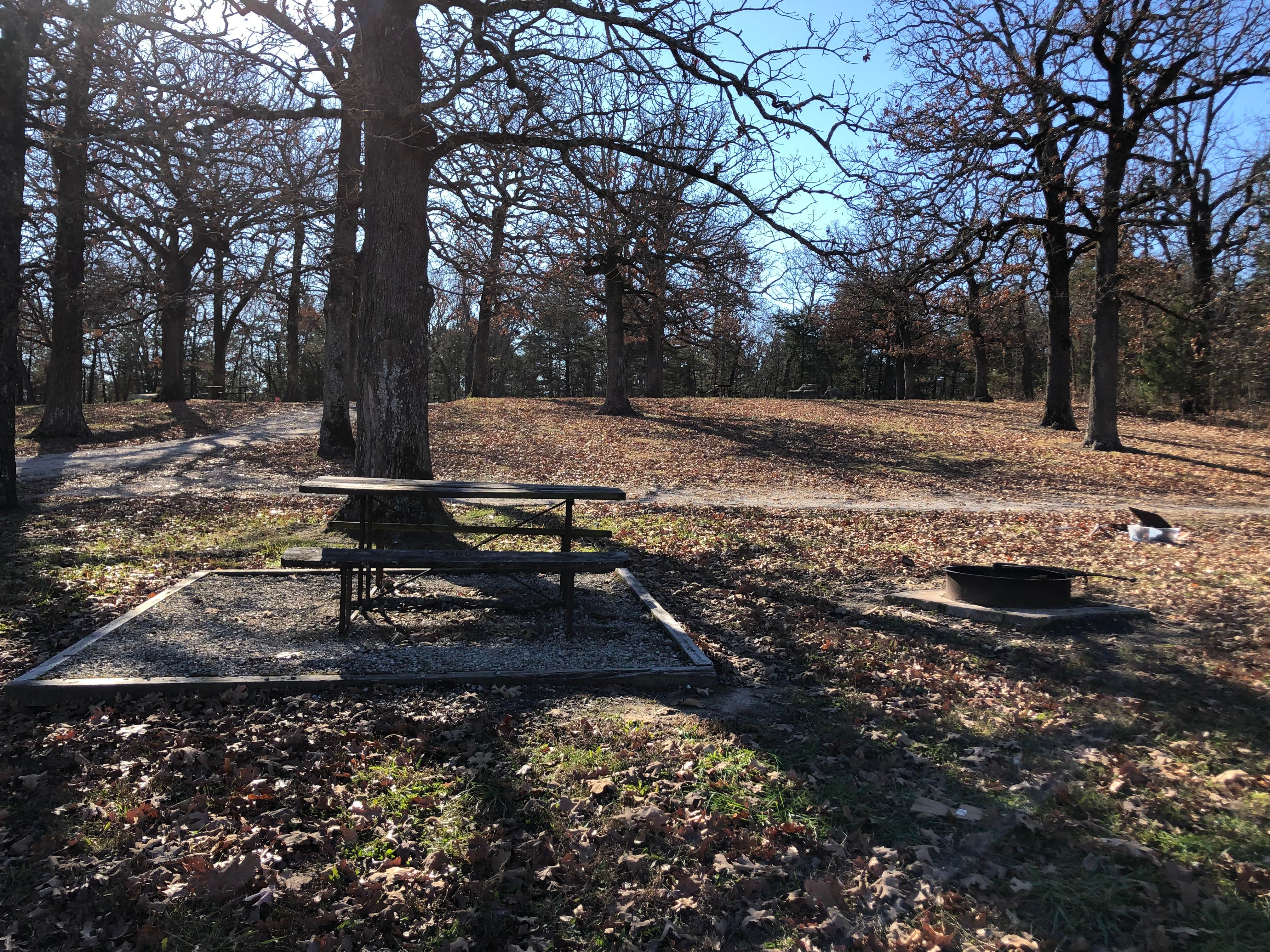 Camper-submitted photo at Drury-Mincy Conservation Area in Missouri