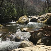 Review photo of Big Creek Campground — Great Smoky Mountains National Park by Grace M., July 8, 2018