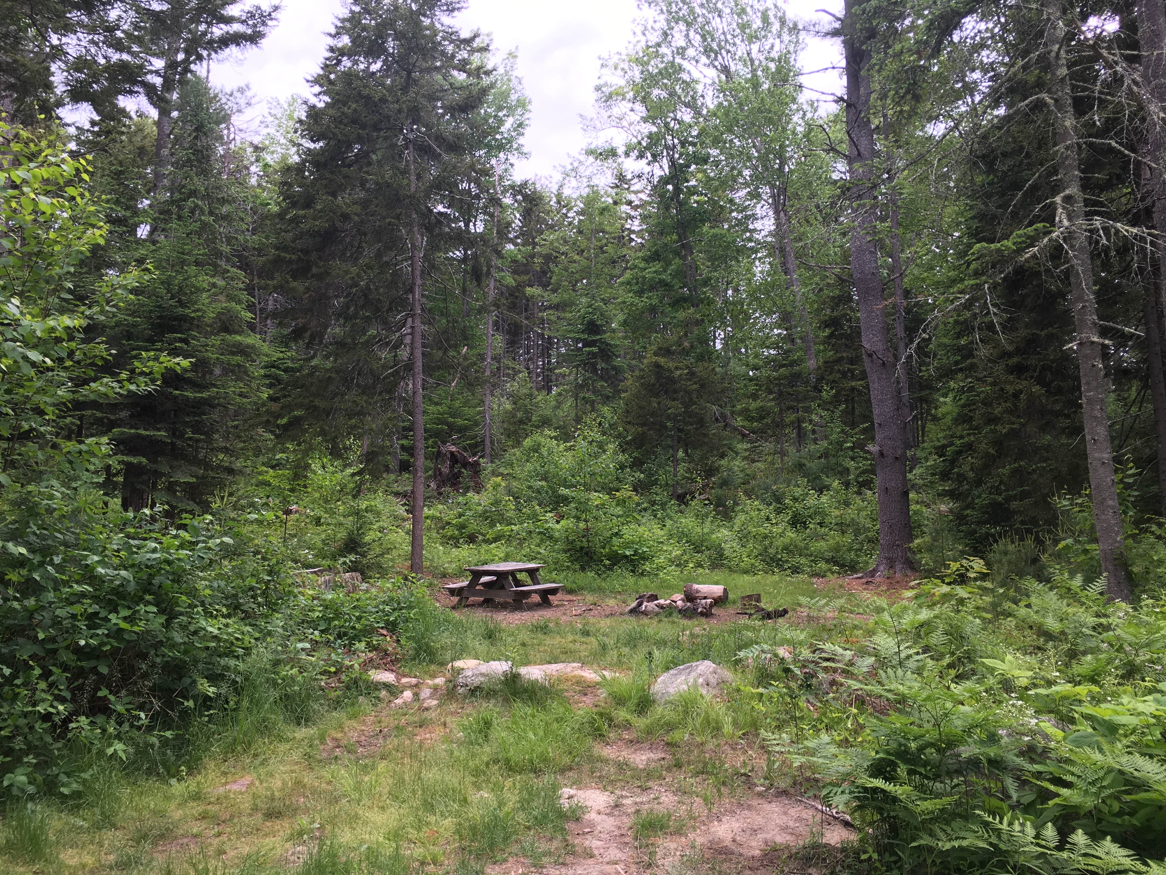 Camper-submitted photo at Recompence Shore Campground near Bath, ME