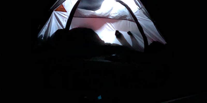 Camper submitted image from Recompence Shore Campground