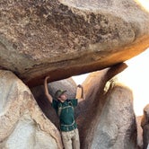 Review photo of Indian Cove Campground — Joshua Tree National Park by Armando A., December 6, 2021