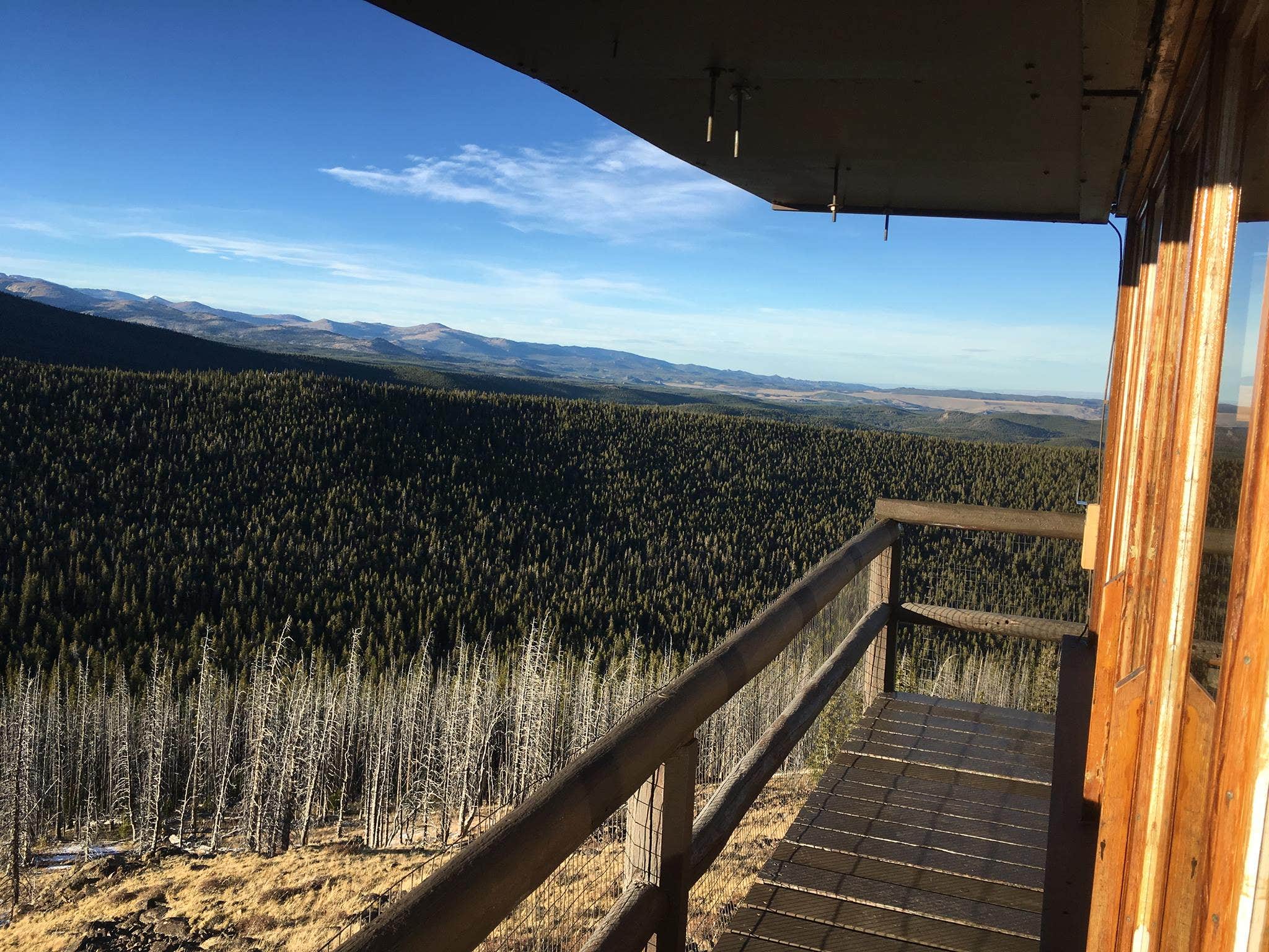 Camper submitted image from Bighorn National Forest - 2